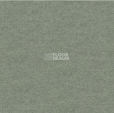 Ковровая плитка Interface Polichrome Solid 4266005 Silk Grey фото 1 | FLOORDEALER